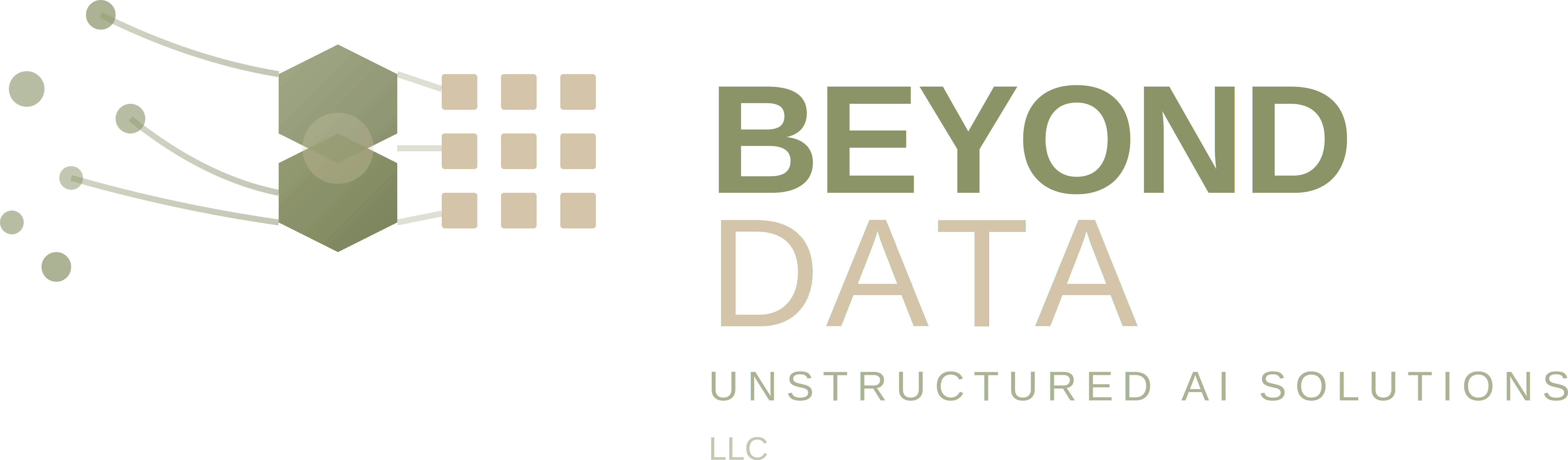 Beyond Data Logo